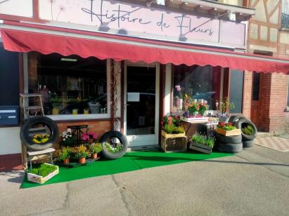 Histoire de fleurs Longueville-sur-Scie