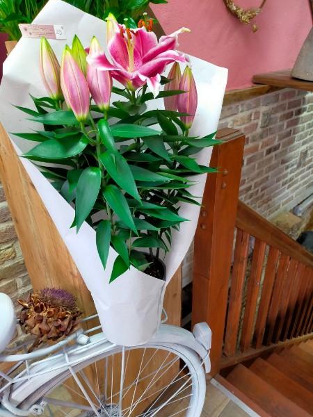 fleuriste plaisir d offrir Longueville-sur-Scie